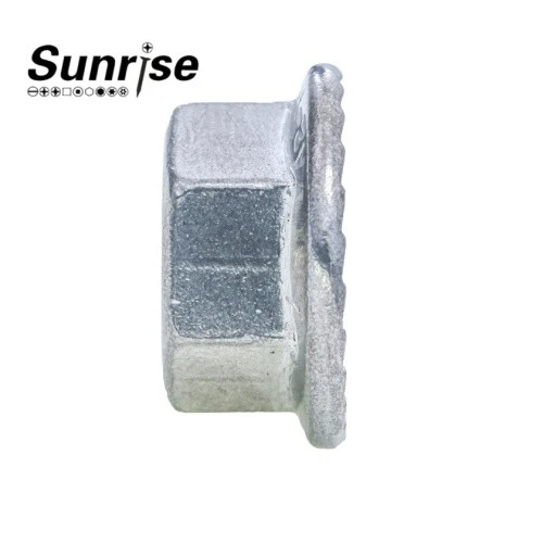 Flange Serrated Nut DIN6923