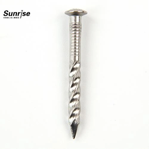 Oval Head Twist Shank Screw