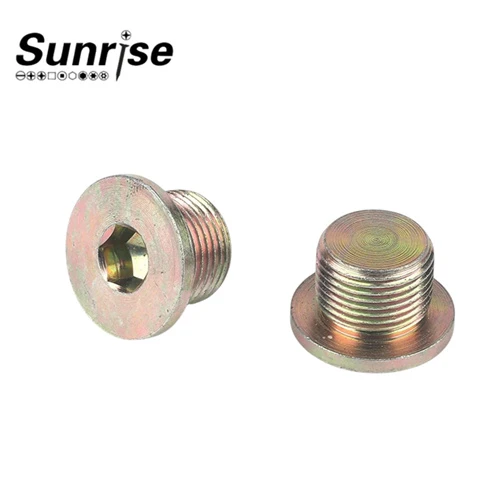 Hexagon Socket With ED Ring Sealing Plug