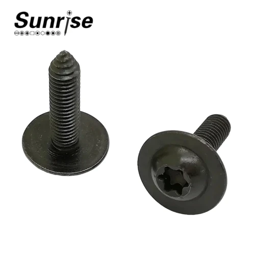 Pan Head Torx Socket Machine Tapping Automotive Screw