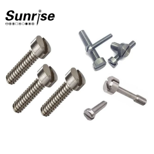 CHEESE HEAD SLOTTED SCREW DIN 84 4