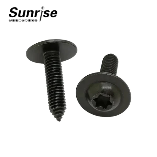 Pan head hexalobular torx socket machine tapping automotive screw with washer 1 Pan head hexalobular torx socket machine tapping automotive screw with washer 1