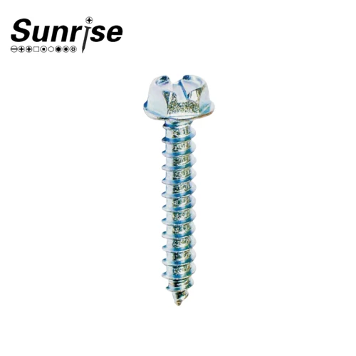 Slotted Hex Washer Head 1
