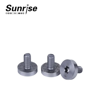 Cap Head Torx Drive Machine Screws