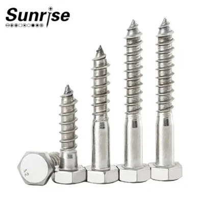 DIN571 Hex Wood Screw/Coach Screw/Hex Lag Screw