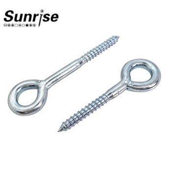 Scaffold Eye Screw