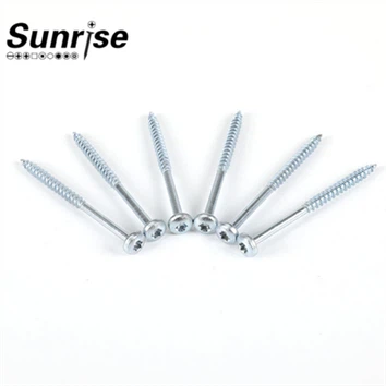 Silver Ruspert Coating Screw Torx Pan Head Cap Screw