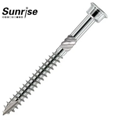 Stainless Steel Terrace Screw