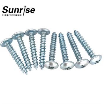 Truss Mushroom Head Self Tapping Screws