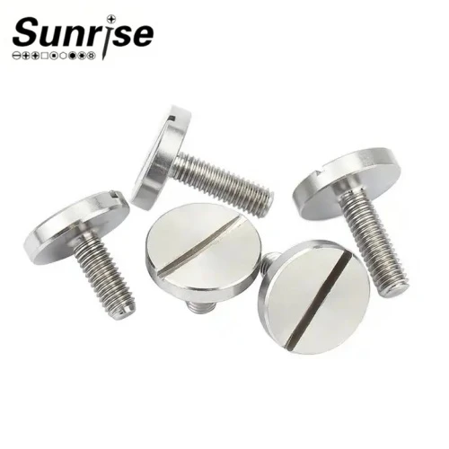 Stainless Steel 304 316 Large Round Flat Head Slotted Machine Screw