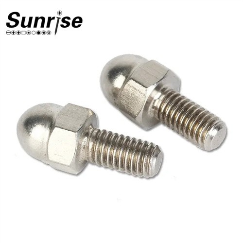 Stainless Steel Hexagon Dome Ball Head Bolts