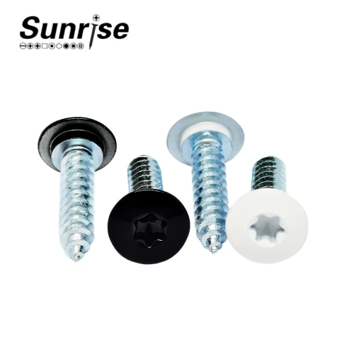 Torx Pan Head Self Tapping Screw