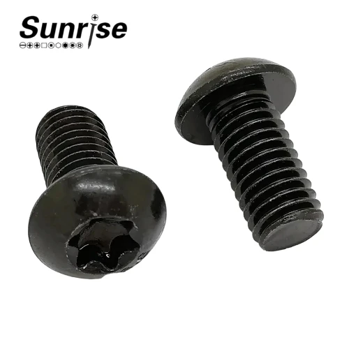 Torx T10 Pan Head Machine Screws